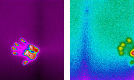 Understanding cooled vs uncooled optical gas imaging