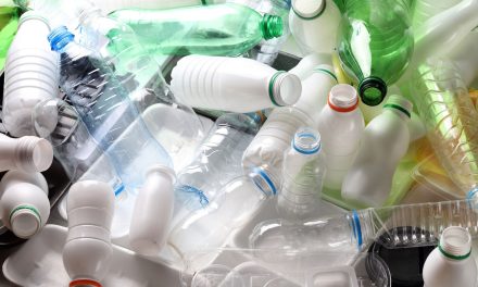Why we must invest in processing to meet recycling goals