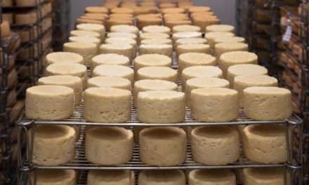 Lancashire cheese making business faces challenging recovery following devastating fire